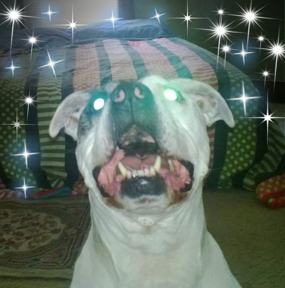 Meet your Posher, Jeff